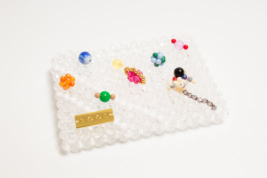 space card case(clear)